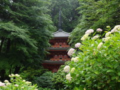 京都と奈良であじさい（その１）　岩船寺と浄瑠璃寺