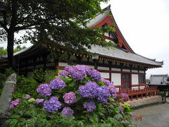 京都と奈良であじさい（その2）　矢田寺と法隆寺
