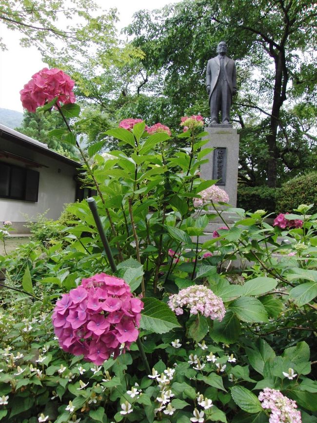 大阪池田市にある久安寺に行ってきました。<br /><br />花と緑を誇る久安寺へ。<br />関西花の寺１２番霊場にもなっています。<br /><br />今の時期は紫陽花がとっても綺麗なお寺さんです。<br />紅葉もすっごく綺麗みたいです(^^ゞ<br /><br />最近車が眠ってるので運転の練習兼ねて行ってきました(^^)