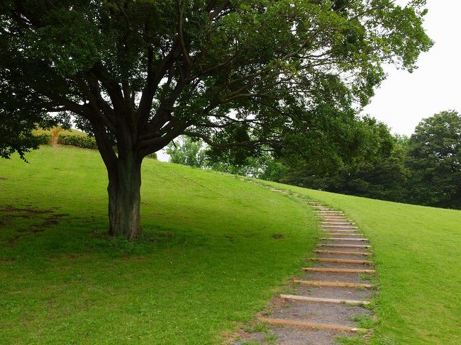 時折尋ねた　古河市の総合公園へ<br /><br />　春の桃は有名ですが　今頃は　池があるので　多分　花菖蒲も咲いているかと行って来ました<br /><br />数は余りありませんでしたが　平日のお昼時、、<br /><br />殆ど人影はありませんでした、<br /><br />ももの時期の美しい景色は以前作成してあったと思ったのですが<br /><br />ありませんでした。<br /><br />来年の春は是非　行って　皆さんにご紹介を。。<br /><br />遠い先の話ですね。<br /><br />古河総合公園<br />http://www.koga-kousya.or.jp/koga-park/<br /><br />茨城県古河市鴻巣３９９−１<br />０２８−４７−１１２９<br /><br />久喜ＩＣから約２０分走行<br /><br />ＪＲ古河駅から　路線バスもあり<br /><br />