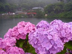 蒲郡形原温泉・あじさいの里とご当地海鮮グルメに抹茶スイーツ♪