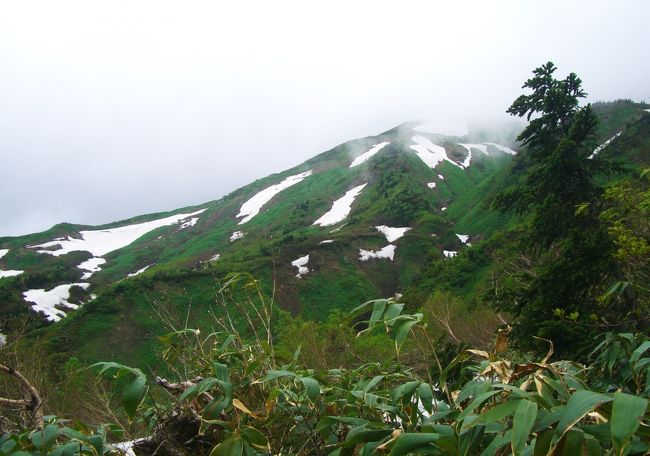 ご訪問をありがとうございます。<br /><br />白山に登ってきました。<br />事前に登山道の積雪情報を入手しようとしたのですが、情報があまりありませんでした。<br />積もっていなければいいなと願いつつ登り始めたものの、残念ながらまだ登山適期ではありませんでした。<br /><br />下山してくる人に次々話しかけ、どこまで登れるかたずねてみました。<br />返答は次のようなものでした。<br />「甚之助避難小屋までは登れるが、そこからはアイゼンが必要」<br />「エコーライン分岐までは大丈夫だが、その先は危険」<br />「エコーラインを迂回すると室堂まで行ける」<br />「黒ボコ岩近辺はガスも多く、積雪も多い。風も強くて危険」<br />避難小屋で引き返した人と、分岐で引き返した人と、黒ボコで引き返したという人の割合は、ほぼ同じでした。<br /><br />屈強な登山者たちが続々と引き返してくるので、御前峰（2702m）はおろか、室堂（2450m）までもたどり着けないことがわかりましたが、とにかく行けるところまで行ってみようということになりました。<br /><br />白山　標高2702m<br />累積標高差　約1500m<br />歩行距離 　約14km<br /><br />2011年登山記録<br /><br />1/15 繖山<br />1/29 綿向山<br />2/3 音羽山<br />2/8 飯道山<br />　　　庚申山<br />2/19 雪野山<br />　　　鏡山<br />2/27 水井山<br />　　　横高山<br />3/27 姫越山 <br />4/12 ホッケ山<br />　　　権現山 <br />4/16　御池岳 <br />5/17 堂満岳<br />5/26 百里ヶ岳<br />6/2 多田ヶ岳（敗退）<br />6/12　三十三間山<br />