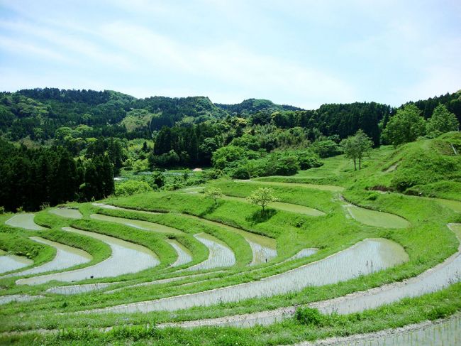 最近行ったバリ、ウブドの棚田や田園風景にすっかり魅了され、<br />東京から一番近い棚田、大山千枚田に行ってきました。<br /><br />「ウブドみたいに田んぼビューカフェがあったらいいのに」<br />「日本の田んぼにカフェなんてあるわけないだろ～」<br />ところが、田んぼの中に素敵なカフェがありました！<br /><br />そしてその後行った「のこぎり山」<br />ここはすごい断崖絶壁でびっくり！こんな観光地が千葉にあったとは...<br /><br />