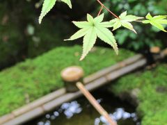 青を求めて京都・ついでの大阪【1.達人と行く京都】