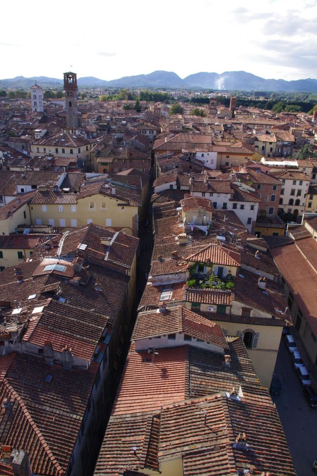 イタリア、トスカーナ地方のルッカ（Lucca）<br /><br />2010年9月19日（日）、ピサを散策した後、ルッカへ。<br /><br />このルッカは、ピサの北東22ｋｍに位置する芸術都市（人口約8万2千人）。<br />中世時代の１２ｍの城壁に囲まれた街の中心部は、中世ロマネスクやルネッサンス時代の建物が多くあります。<br />また、オペラ「蝶々夫人」などの作曲で有名なプッチーニをはじめ、多くの作曲家が生まれています。<br />ルッカの主な目的地は、塔のてっぺんに樫の木が生い茂る「グイニジの塔」、楕円形広場の「アンフィテアトロ広場」。<br /><br />滞在時間約3時間の散策。<br />なお、主なスケジュールは、<br />　☆　ピサ14：50発普通列車で、ルッカに15：17到着<br />　★　ルッカを約3時間散策<br />　☆　ルッカ18：32発普通列車で、フィレンツェ19：52到着<br />