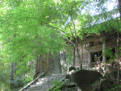 神秘と静寂の杜！室山熊野神社＠星野村