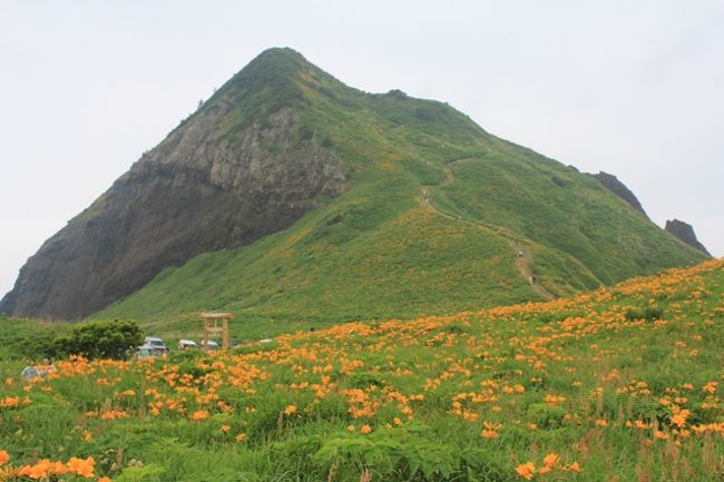 ２日目は佐渡島で一番楽しみにしていた大野亀のカンゾウ祭りに行ってきました。<br />トビシマカンゾウは、ニッコウキスゲに似ている山吹色のユリのような花ですが、<br />山形県の飛島と佐渡島にしか生息しない花だそうです。<br />似てると思っていたら、ニッコウキスゲとは近縁種のようです。<br /><br />お天気は週間予報では雨になりそうで心配していたのですが、佐渡島では曇ってはいたものの雨は全く降らなかったので日頃の行いがよかったのかな？