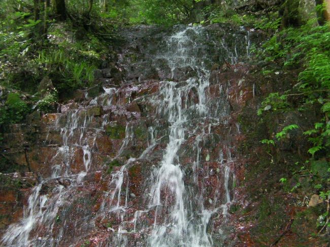 島根県匹見町の花わさび生産者にオゾン水を導入してきました。<br />設置工事を完了して、中国道 戸河内ICまでの寄り道しながら。。。<br />道の駅匹見峡〜深命水〜やまめつり堀〜三段峡<br /><br />ワサビの茎をオゾン水で除菌しているところ<br />詳しくは、<br />http://www.ozoneassocia.jp/ozonewater/quickozone30/case_hawasabi