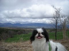 軽井沢旅行・愛犬と一緒にペンション