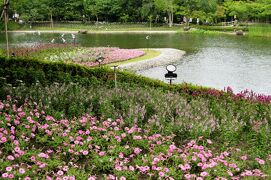 2011梅雨、なばなの里の花菖蒲(4/4)：その他の花、アジサイ、桔梗、鏡池