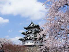 桜満開の弘前公園