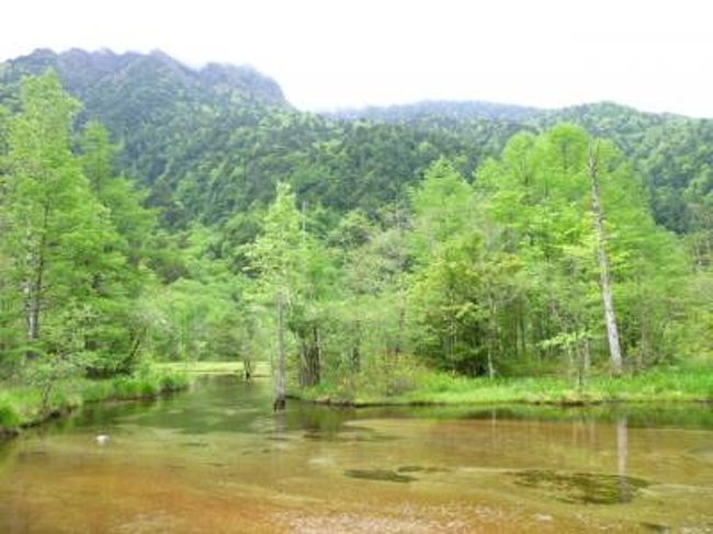 6月17日（金）〜6月19日（日）の3日間、上高地へ行きました〜♪<br />美しい新緑の上高地、まさに別天地。<br />目にまぶしい新緑と可憐に咲く花、美しい自然の中を歩く。<br />帝国ホテルのスイートルームで優雅にステイ♪<br />美味しい仏蘭西料理や洋食を堪能。<br />極上のリゾートバカンス！<br /><br />☆Ｖｏｌ１３：6月19日　午前☆<br />帝国ホテルのスイートルームで気持ちよく目覚め♪<br />ちょっとしばらく洋食続きなので、和朝食をチョイス。<br />和朝食はやっぱり美味しいね♪<br />久しぶりの和食を楽しんだ後、チェックアウトまでに田代池や大正池を見ることに。<br />帝国ホテルから田代池へ歩く。<br />美しい田代池や湿原を眺める。<br />レンゲツツジが美しく、また、夏を迎えるニッコウキスケも咲き始めて。<br />間もなく夏が来る♪