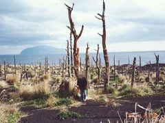 90年代の弾丸離島の旅1992.3　　「火山活動度ランクAの島」　　　～三宅島・東京～