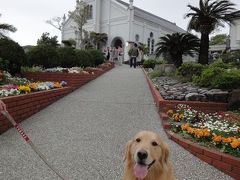 2011GW　旅犬つばさが行く九州＠キリシタンの里＆熊本城