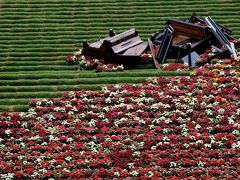 スペイン30日、9都市めぐり　8.　ジローナ　花フェスタ2　Girona