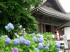 関西花の寺第１番霊場　丹州觀音寺のあじさい　