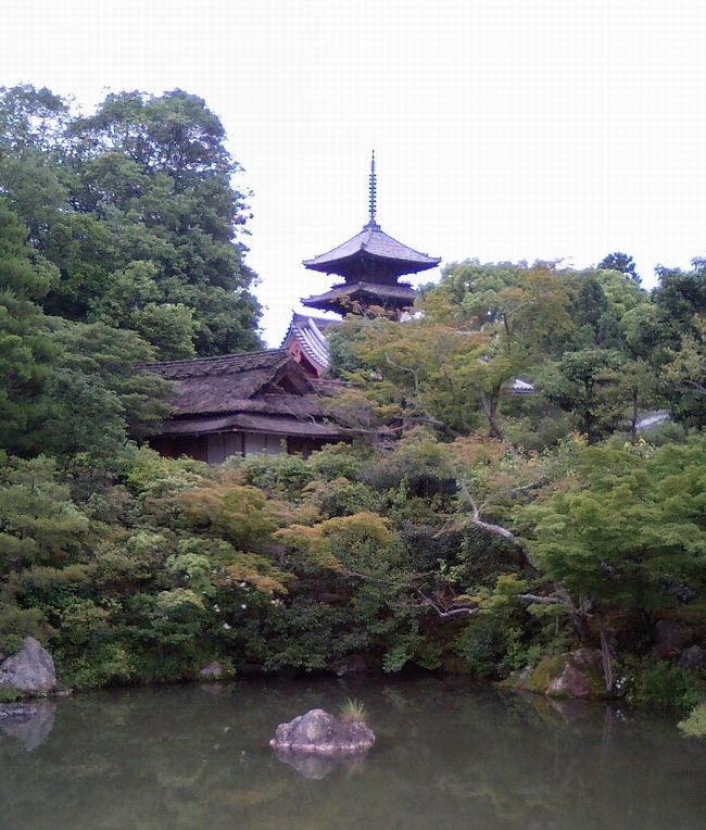 神奈川で開催されたオフ会ついでに鎌倉とか観光してきました。