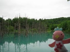 「そうだ！北海道へいこう」ってことで行ってきました～♪～青い池・十勝岳編～