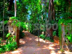 スリランカの天才建築家Bawaの庭「ルヌガンガ」を観に行く旅