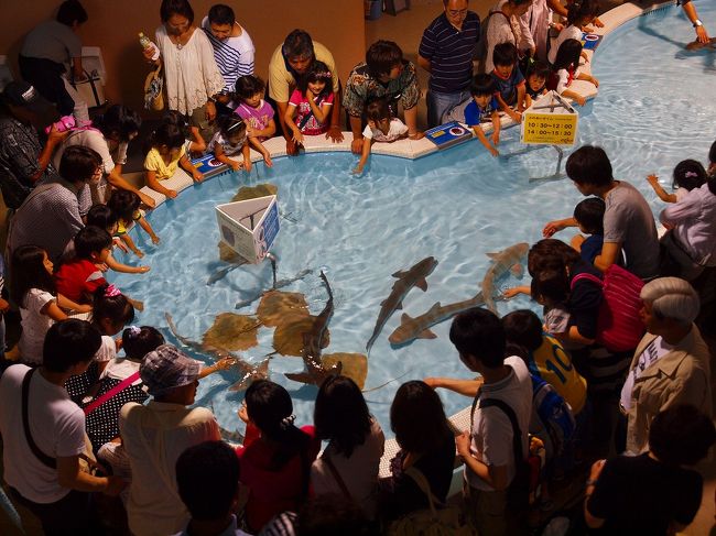福島県　小名浜の水族館「アクアマリーンふくしま」<br /><br />東日本大震災に見舞われ多大な被害を蒙りました。<br /><br />魚達　動物達も　多くの犠牲をはらいました。。<br /><br />残された　魚達　動物達を救おうと各地の水族館が応援して<br /><br />無事な彼らを預かり飼育、、立ち直りの日を待ちます<br /><br />葛西臨海水族園もその一つです。<br /><br />葛西臨海公園<br />http://www.tokyo-park.or.jp/park/format/index026.html<br /><br />葛西臨海水族園<br />http://www.tokyo-zoo.net/zoo/kasai/<br /><br />アクアマリーンふくしま<br />http://www.marine.fks.ed.jp/<br /><br />義臣旅記<br />２００７　生まれ変わった小名浜港　（アクアマリーン福島含む）<br />http://4travel.jp/traveler/jiiji/album/10180476/