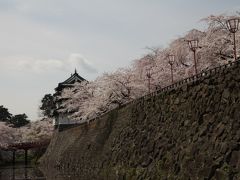 弘前桜祭り