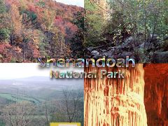 ６０年代の想い出：　Shenandoah National Park　　　シェナンドア国立公園