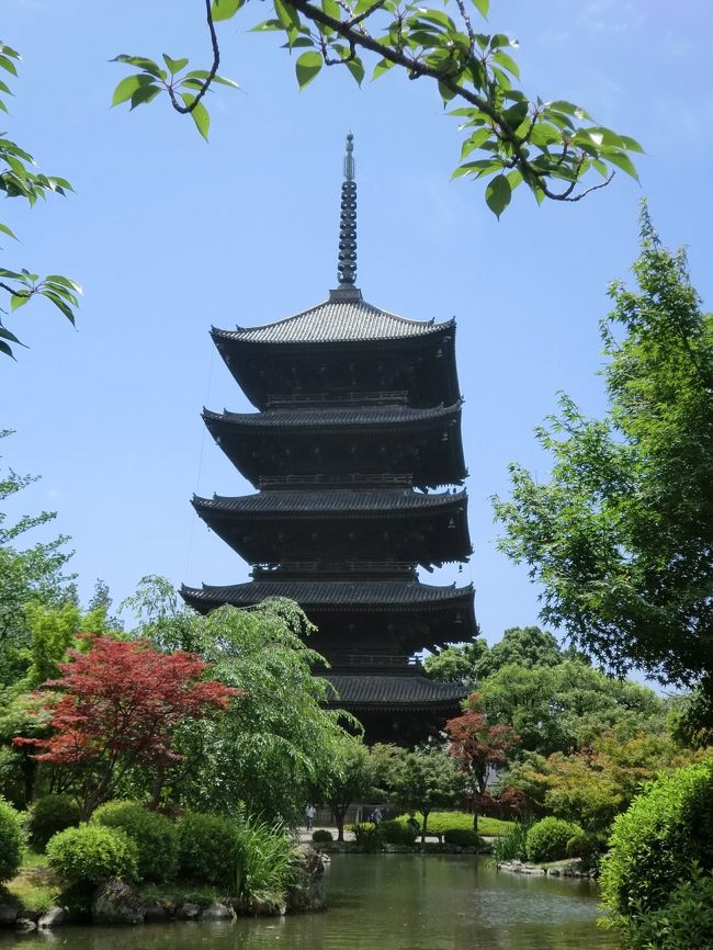 「時間が自由になったら、行ってみたい処に、気ままに出かけよう」という願いが叶った6月23日(木)は、電車とバスで京都の古寺名跡を巡った。