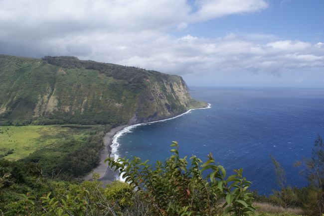 なんて事の無いハワイの風景。この中にいるだけで癒されます。