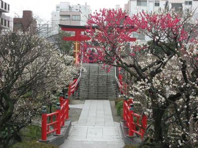 １０ 東京さんぽ 亀戸 亀戸天神 梅祭り 藤祭り 亀戸 東京 の旅行記 ブログ By たーさん フォートラベル