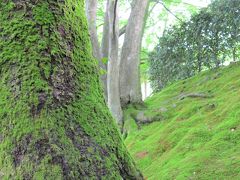 青を求めて京都・ついでの大阪【2.素人が行く京都】