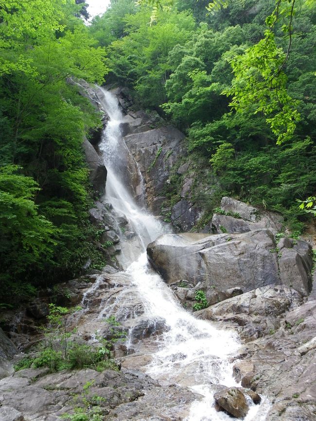 「田立の滝」から無事に下りてきた私たちが次に向かったのは、「田立の滝」と尾根を一つ隔てた隣の沢にかかる『うるう滝』です。<br />『うるう滝』は「田立の滝」ほどの知名度はありませんが、「田立の滝」にもひけをとらないような素晴らしい滝でした！<br /><br />ダイジェスト版はこちら→http://4travel.jp/traveler/joecool/album/10573062/