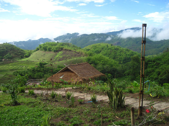 アカ・ヒルハウス(Akha Hill House)は、チェンライから西に２０キロほど山道を入ったアカ族の村にある。<br /><br />この日は簡単な地図を頼りに、宿の周辺をひとりで歩き回ってみた。<br />だが一旦山道に入ると枝道が多く、かなり迷う。<br />ガイド無しで歩くにはやや困難なルートだった。<br /><br />23日目 <br />【アカ・ヒルハウス泊、周辺トレッキング：中国人村,アカ族村×2,ラフ族村】<br />歩行距離　約２３ｋｍ<br /><br />Ｂ１＝約２．７円