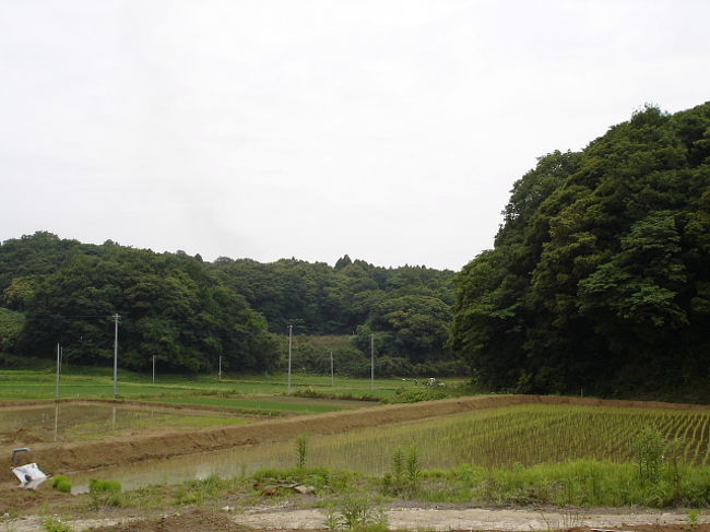 潮来市清水で、珍鳥コウノトリが２日間目撃されたとの情報を戴き探しにいきましたが、残念ながら見つかりませんでした。<br />目撃者は証拠写真も撮っているとの事なので、移動中に潮来市内で休憩・採餌したものと思われます。<br />なので、仕方がないので普通種のバードウォッチングを・・・。(T-T)<br /><br />表紙写真は、里山と谷津田の豊かな自然が残る清水地区の風景です。<br /><br />※ 2016.10.18 位置情報登録