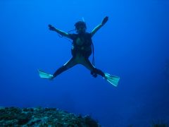 沖縄そば　リベンジの旅　その④　ダイビング