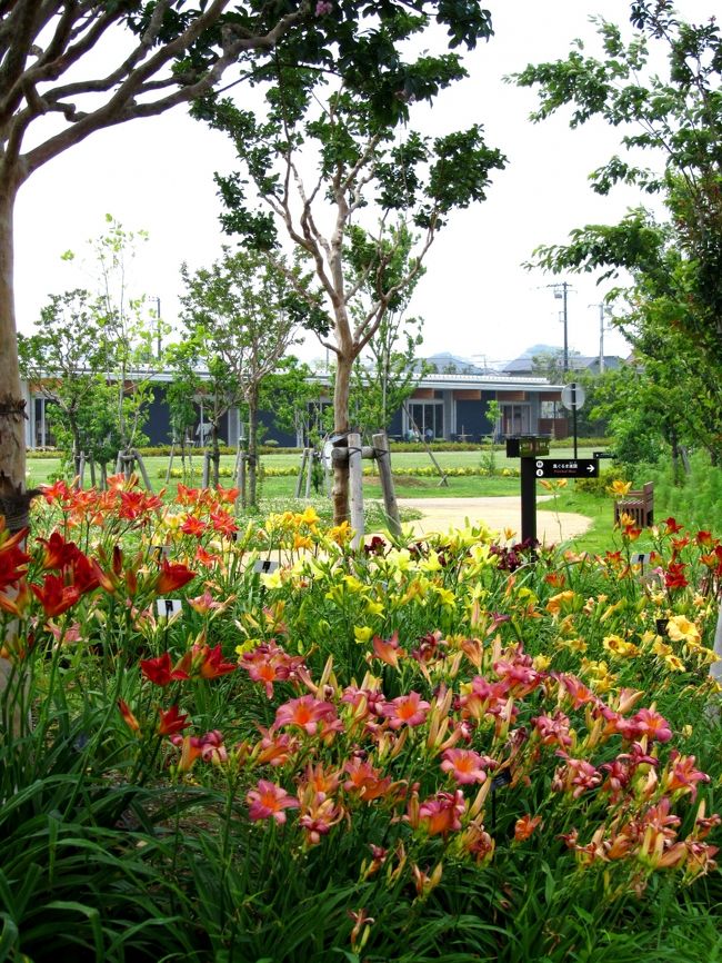 平塚に昨年オープンした「花菜（かな）ガーデン」<br /><br />ここは、５月のバラも見事なのですが、<br />四季折々の代表的な花々も多く咲かせています。<br /><br />７月初め、ユリはここのところの暑さで終わってしまいましたが、<br />ヘメロカリス（デイ・リリー）の群生が迎えてくれました。<br /><br />速報。とりあえず、写真だけでもご覧ください。<br /><br />また後日、くわしい旅行記を作ります。<br /><br /><br /><br /><br /><br /><br /><br /><br />