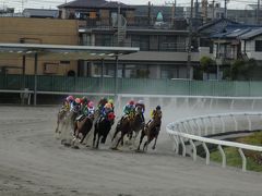 2011年ＧＷ　浦和競馬場