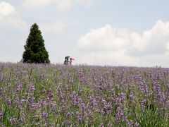 ラベンダー香るメナード青山リゾートハーブガーデン