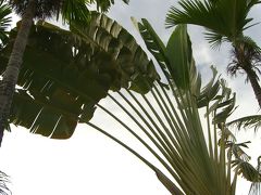 アンコールワットとハロン湾周遊　５日間　②　アンコール・トム