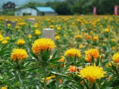 山形・高瀬の紅花まつり