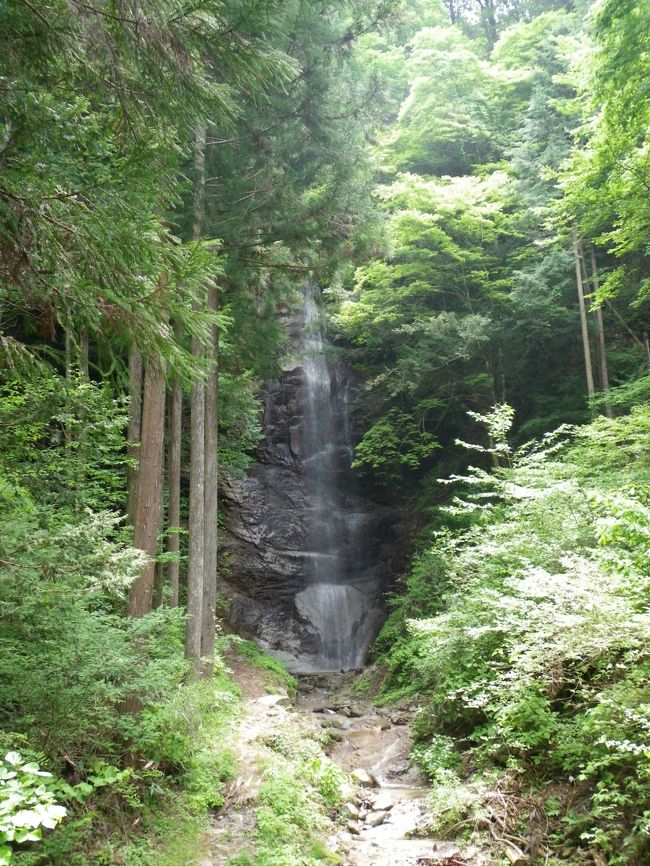 「ホテル富貴の森」をチェックアウトし、この日最初に向かったのは「はなもも街道」で有名な清内路村（現在は合併して阿智村になっています）にある『姿見不動滝』という滝です。<br /><br />ダイジェスト版はこちら→http://4travel.jp/traveler/joecool/album/10573062/