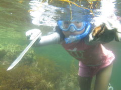 ２０１１海のシーズン到来