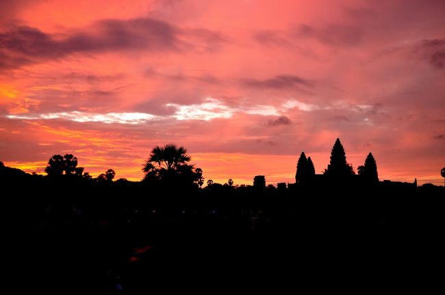 <br />　　　　　　　　・・・　朝焼けのアンコール・ワット　Angkor Vat　・・・<br /><br />　バスでプノンペンからシェムリアップまで移動、ここシェムリアップで連泊するがメインたったの一日である。<br /><br />　メインは何といっても、アンコール・ワットだが、この周辺の遺跡、アンコール・トム、像のテラス、タ・プロームなどを一日で見て廻るのだからかなり強行軍である。<br /><br />　これが個人旅行なら時間をかけてゆっくり見学するのだが、今回は仕方がない。<br /><br />　アンコール・ワット周辺の遺跡を見学するためには、チケットを購入しなければならい。このチケットには、<br />１日券、３日券、ウィークリーと三種類あるが、我々のツアーは１日券である。<br /><br />　一日でこの周辺の主な遺跡を見て廻る訳だから効率よく見学する必要がある。その辺りはＡＰＥＸ観光・名ガイドのＫさんも心得たものだ。　<br />　シェムリアップのホテル、”サリナ”にチェックイン、現地ガイドのＫさんが明日早朝のオプションになっている、アンコール・ワットのサンライズはどうされるか？とグループに尋ねるから、もちろん参加することにした。　　<br />　今回の旅の目的は、朝焼けのアンコール・ワットをカメラにおさめることである。しかし、これだけはお天道様次第だからどうなるか全くわからない。　　　　　　　　　　　　　　　　　　　　　　<br /><br />　ガイドのＫさんも、「行ってみなければわかりません！　駄目でもオプションチャージは返金しませんのでご了解を！」　と、　<br /><br />　ここまでやってきてアンコール・ワットのサンライズ・朝焼けを見過ごすことはできないので、”駄目モト”でオプションを申し込むことにする。　<br />　このオプションチャージは、１５＄である。１５＄（１２００円）で朝焼けが撮れれば最高なのだが、天気次第では「無」になるから大きな賭けでもある。<br /><br />　結局、ツアー参加者１９名のうちアンコール・ワットのサンライズ・オプションを申し込んだのは、我々二人と若い男女のカップル、シニアのカップル合わせて６名だった。　　　　　　　　　　　　　　　　　　　　　　　　　<br /><br />　サンライズ・オプション出発はホテル前早朝午前５時、ガイドと６名はこれまで利用してきた大型バスに乗り、夜明前の暗闇の中を出発。<br />　　　　　　　　　　　　　　　　　　　　　　　　　　　　　　　　　　　　　　　　　　　　　　　　　　　　　アンコール・ワットまでは時間にして約２０分、途中ゲートで下車、一人ずつ顔写真を撮り　「ONE DAY PASS」 １日券を発券してもらう。　<br />　このチケットで終日遺跡観光ができるから決して紛失しないようにとガイドのＫさんが言う。遺跡巡りをするにはその都度、このチケットを係員に提示しなくてはならない。<br />　そういえば、３日券やウィークリー券を所持している者は、チケットを透明なケースに入れ首からぶら下げていたようだ。　　なるほど・・・次回の参考にしておこう。<br /><br /><br />　　かくして、アンコール・ワットのサンライズへ・・・・・・・・　　　<br /><br /><br />　　　　　　　　　　　　　　　　　　　　“天は我に味方せり！！”<br /><br />　<br /><br />　　　<br />