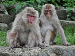 Mr.チャングムの小さな旅！湯田中温泉とサクランボ狩り