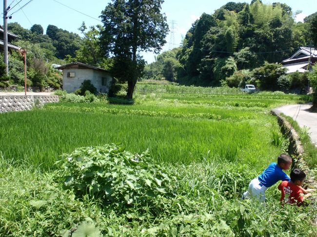 京都の南部と言っても 奈良や滋賀に近い府県境にある片田舎のお店を５軒ご紹介します。<br /><br />アクセスが悪いので 車かバイクでしかいけません。<br /><br />それでも行ってみたいと思っていただけるお店があるでしょうか・・・(^^)<br /><br /><br />①【パパに内緒！？ママ友と行く平日のみ営業の<br />　　　　 　　 「農家カフェ　Ｃｏｕｎｔｒｙ Ｒｏａｄ」 】<br /><br />②【癒しを求めて 一人で行く隠れ家カフェ<br />　　　　　 　　　　 　「un graine（アン・グレーヌ）」】<br /><br />③【食べ盛りの子供も満足 家族でガッツリ定食<br />　　　　　　　 　　　 　「肉のやしろ 青木亭」】<br /><br />④【夫婦で静かな時間を過ごす 土日のみ営業の<br />　　　　　　　　　 　　　　　　　　　　「旬菜　土日亭」】<br /><br />⑤【昔の同僚と時間を忘れて大笑い 個室でゆったり<br />　 　　　　　　　　　　　　　　　　「天ぷらすぺいす　きら」】<br /><br /><br /><br />※アクセスの説明が頼りないので 住所からググってくださいませ<br /><br /><br /><br /><br /><br /><br />