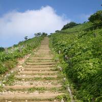 お花は咲いたかなあ・・・・伊吹山にドライブ