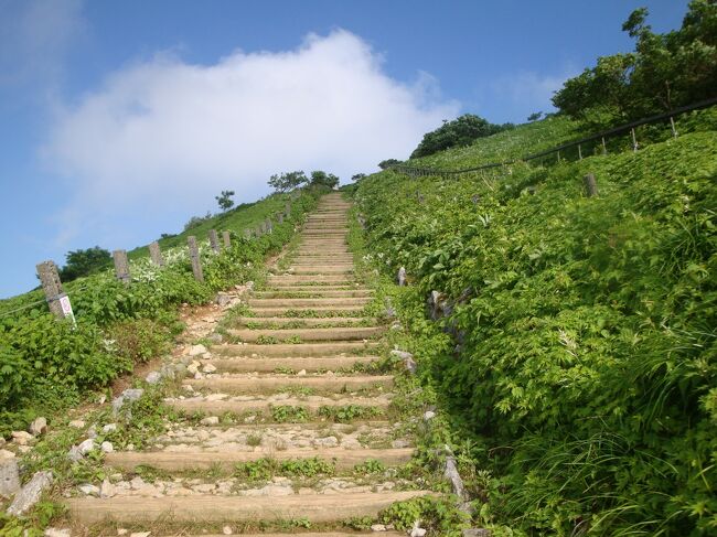 お花は咲いたかなあ・・・・伊吹山にドライブ