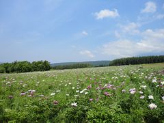 富良野・美瑛の旅　最終日