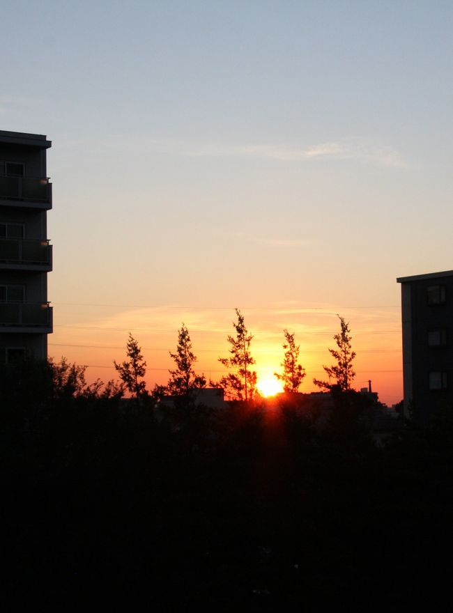 小手指陸橋から日の出を望む　　2011.7.15　　　4：45<br />Sunrise from railways bridge of Kotesashi<br /><br />梅雨明けの猛暑のさなか、６時頃からの早朝散歩も帰る頃には日差しが強く、Tシャツに汗が滲んできてしまいます。今朝は目が覚めて東の空を見るとまだ夜明け前で、黒い家並みの間からわずかに陽光を反射したうす青い空が私を誘い出すように感じられました。「そうだ！　日の出を見に行こう」<br />起き抜けにいつも飲んでいるコップ一杯のヨーグルト・オレンジジュースMIXで水分・糖分補給をして、EOS40Dを首に提げて出かけました。と言っても、最初の目的地の小手指陸橋上までは５分もかかりません。陸橋の上からは建設中の高層マンション「小手指タワーズ」や小手指駅、西武鉄道小手指車両基地、小手指ハイツA,B,C,G棟などが間近に見えます。陸橋を通る車も、昼間の交通量がうそのように、たまにしか見かけません。<br />今朝の日の出は4：40でした。これはいわゆる日の出時刻ではなく、太陽が建物の上に顔を出した時刻です。ちなみに15日の東京の日の出時刻は4：36<br /><br />陸橋をくだり、建物に反射するオレンジ色の柔らかい陽光を求めてC棟の裏手から西友小手指店前交差点、ハナミズキ通りを歩きました。<br />車が来ない道路や交差点の真ん中で、日中では写せない視点・アングルで撮影できるのは予想外の特権・優越感を覚えました。<br />プライバシーとか言われずに街並みを写せるのは、朝の爽やかさと共通する感覚で新発見です。<br /><br />撮影　CANON EOS40D 17/85 IS USM<br />ISO 400〜1600 P-MODE<br />空だけが極端に明るい夜明け前後の風景を好みの露出で写すのは決してやさしくはありません。最大に補正したのもあります。<br />　　　　───────────────────<br />小手指の風景や植物・花などの旅行記はたくさん公開していますのでよかったらご覧ください。今の時期では、<br />小手指の夏の花(+ミニ・トマト料理3品）2010 <br />http://4travel.jp/traveler/810766/album/10476215/<br />小手指の山さん農園の野菜日誌　2011　<br />http://4travel.jp/traveler/810766/album/10572034/<br /><br />2011.7.26姉妹編を公開しました。<br />小さな旅　夜明けのわが街　小手指　２ 　<br />http://4travel.jp/traveler/810766/album/10586360/<br />　　　　───────────────────<br />&lt;a href=&quot;http://blog.with2.net/link.php?1581210&quot;&gt;人気ブログランキングへ&lt;/a&gt;<br />