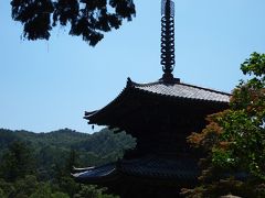 兵庫・加西の一乗寺国宝三重塔 