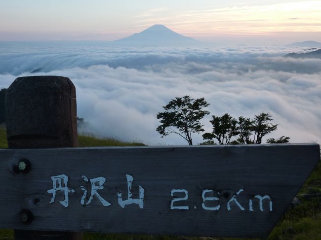 塔ノ岳（とうのだけ）は丹沢山地の南部にある標高1,491mの山。愛甲郡清川村、秦野市、足柄上郡山北町の境目に位置する。<br /><br />関東山地を構成する丹沢山地の一角をなし、丹沢大山国定公園に属す。山頂周辺はシカの食害が問題となっている。<br /><br />丹沢修験道の要であり、塔ヶ岳・御塔・尊（孫）仏山（そんぶつさん）など多くの呼称を持つ。中近世には近郊農村の雨乞いの場として、或いは露天賭博の場としても賑わった。かつて山頂には別称の尊仏山の由来となった尊仏岩があり、お塔と呼ばれ信仰されていた。塔ノ岳の山名はその塔に由来する。この岩は関東大震災の余震である丹沢地震(M 7.3)で大金谷へ転落し現存しない。なお、山頂の尊仏山荘の名もこの岩に由来している・・・・wikipediaより<br /><br />お天気も良さそうだし、二日のお休みを有効にと、前から登ってみたかった、神奈川県の塔ノ岳、丹沢山に登ってきました。<br /><br />